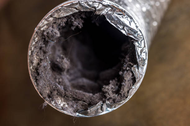 Best Affordable Air Duct Cleaning  in White City, OR