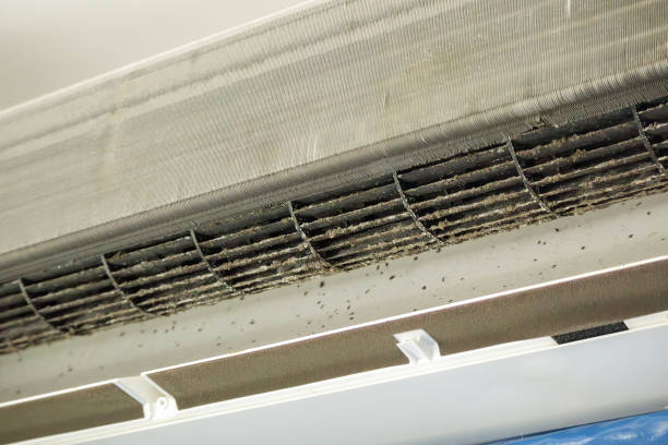 Best Home Air Vent Cleaning  in White City, OR